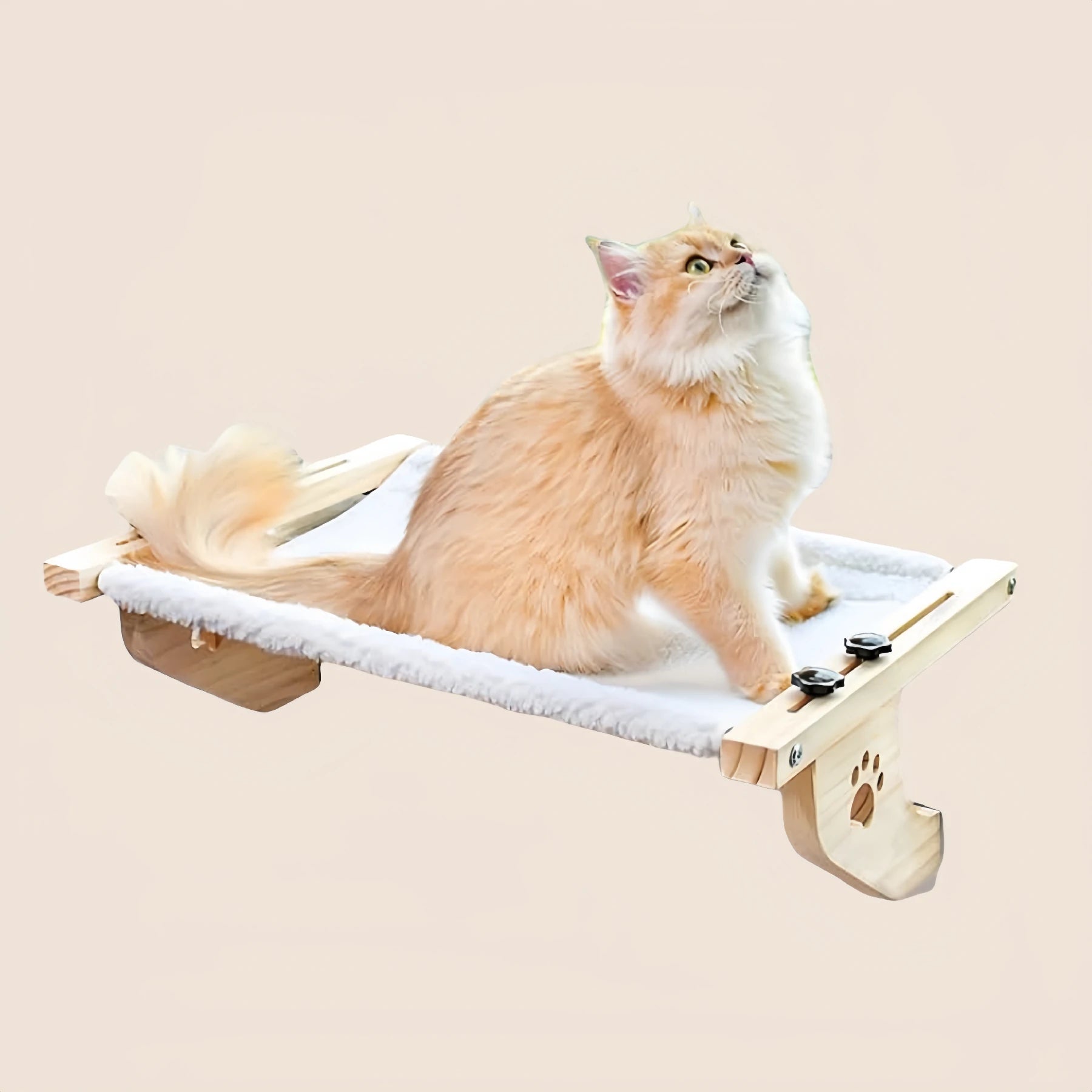 Cat Hammock