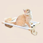 Cat Hammock