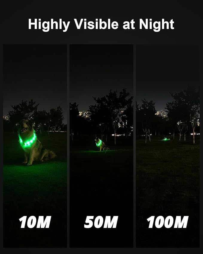 LED Collar for Dogs
