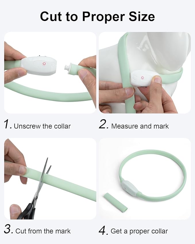 LED Collar for Dogs