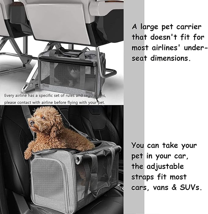 Large Cat Carrier