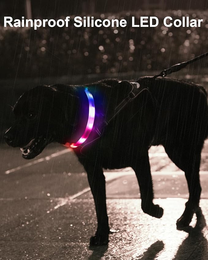 LED Collar for Dogs