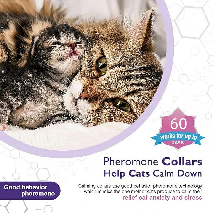 3Pcs Calming Collar
