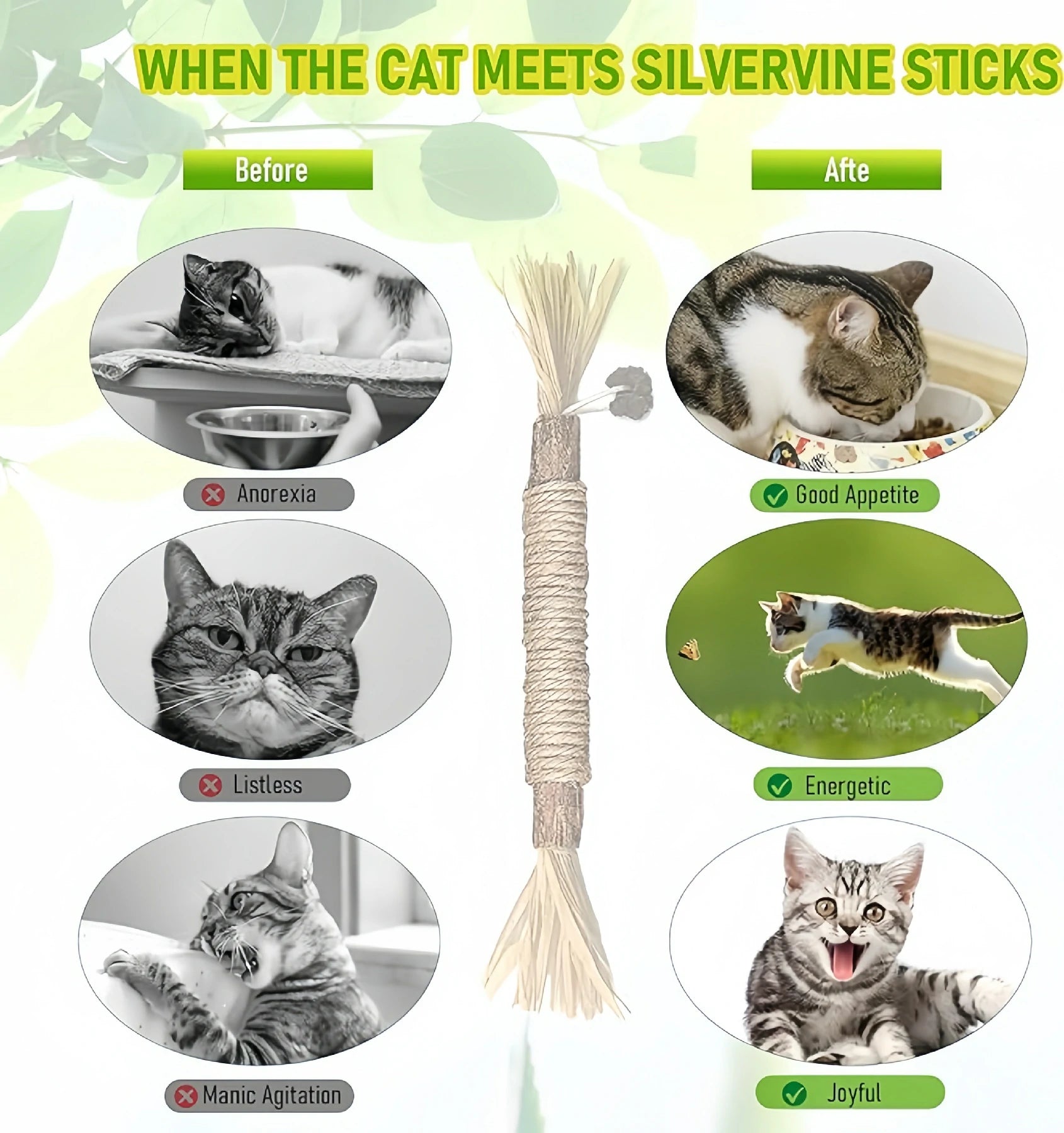 4 Pcs Silvervine Chew Stick