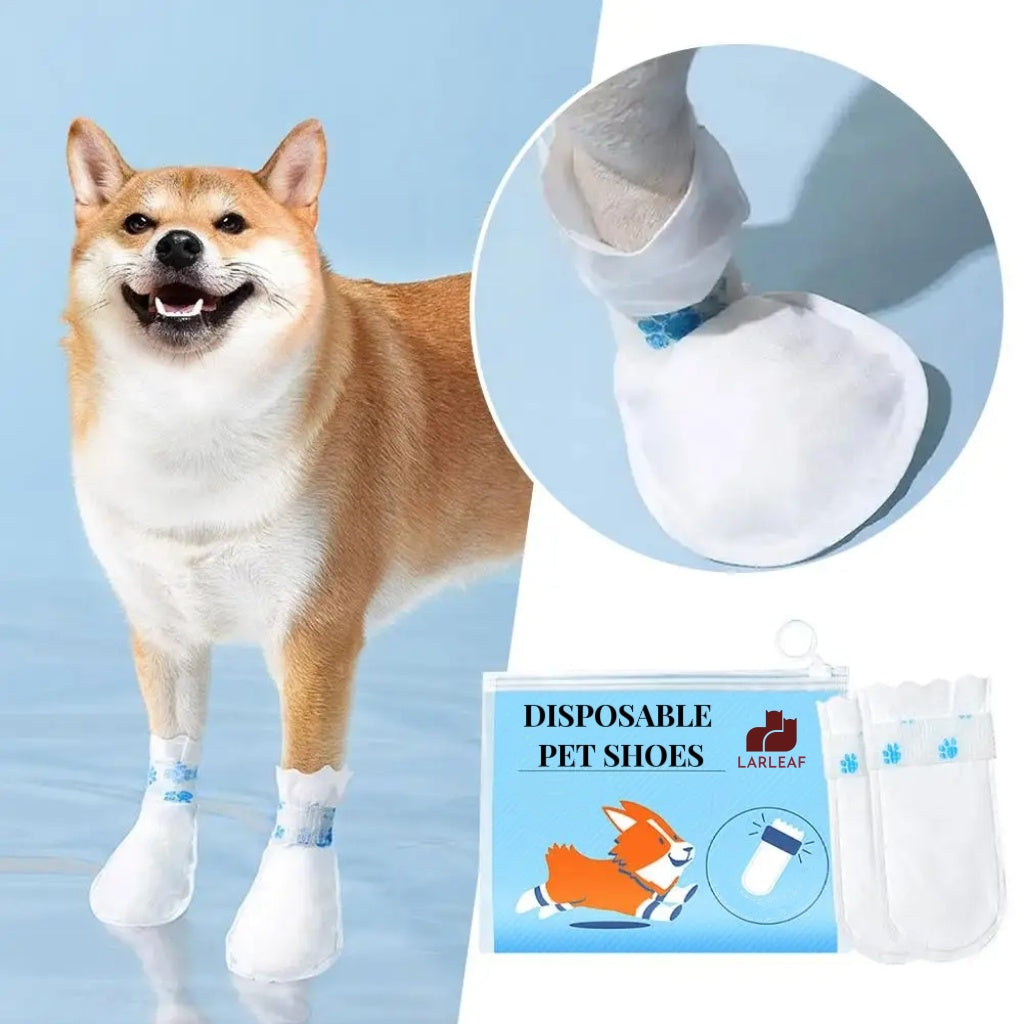 Disposable Pet Shoes
