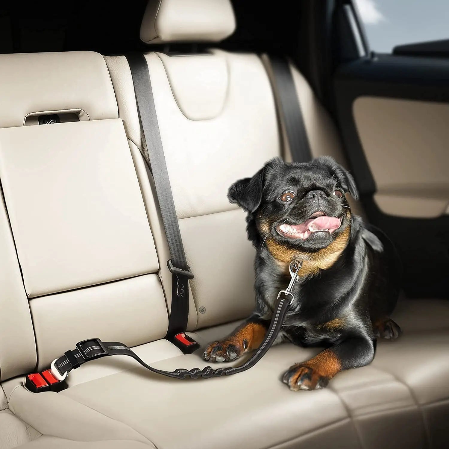 3-in-1 Pets Seatbelt