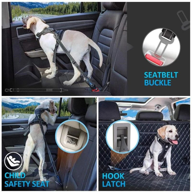 3-in-1 Pets Seatbelt