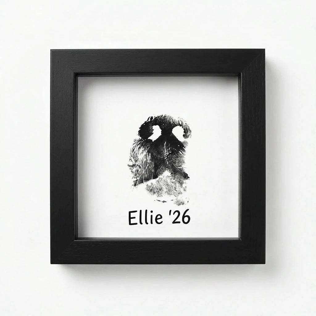 Direct front view of classic black wooden pet memorial shadow box frame featuring a detailed dog nose print (snout print). Shows custom text example 'Ellie '26' below. A bold, elegant sympathy gift choice for honoring a pet's memory with timeless style.