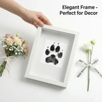 Elegant white pet memorial shadow box frame styled flat lay with pastel roses. Overlay reads 'Elegant Frame - Perfect for Decor'. Ideal for modern home shelves to display a dog or cat paw print tribute. A thoughtful bereavement gift for pet owners.
