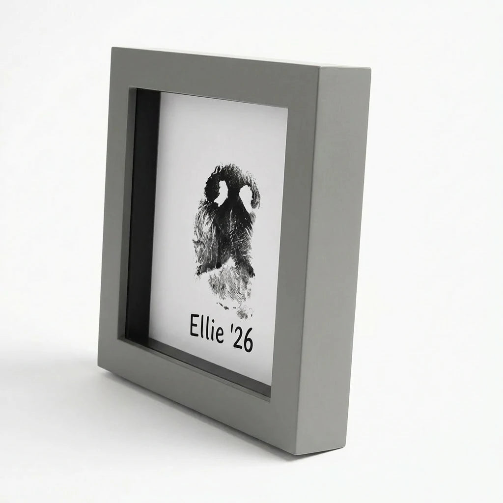 Angled profile of modern grey pet memorial shadow box frame showing deep display depth. Features unique dog nose print (snout print) with custom text 'Ellie '26'. Sleek grey finish and black inner matting create a perfect modern home decor tribute