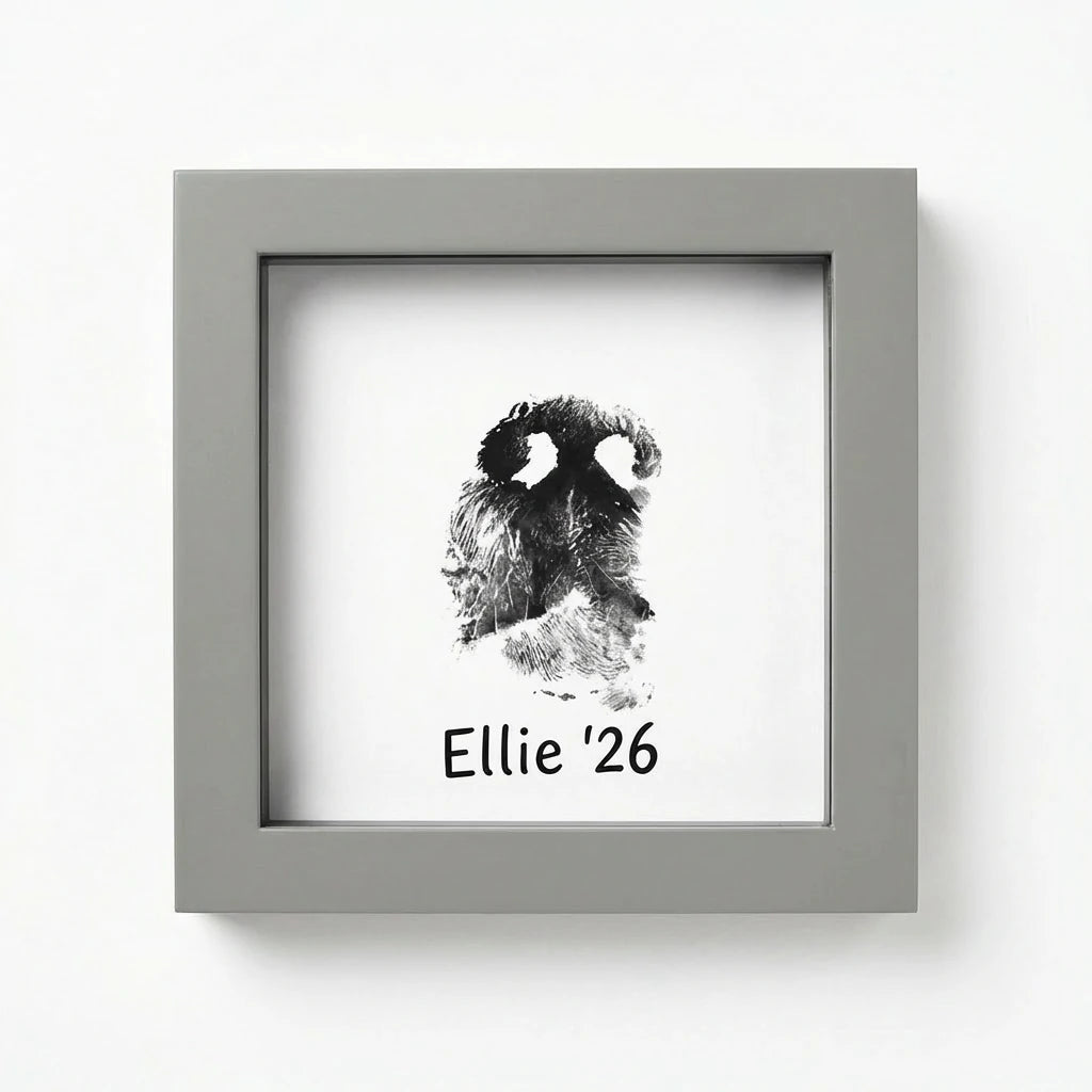 Square Pet Memorial Shadow Box Frame (Deep Display) - For Collars & Instagram Photos Secondary image