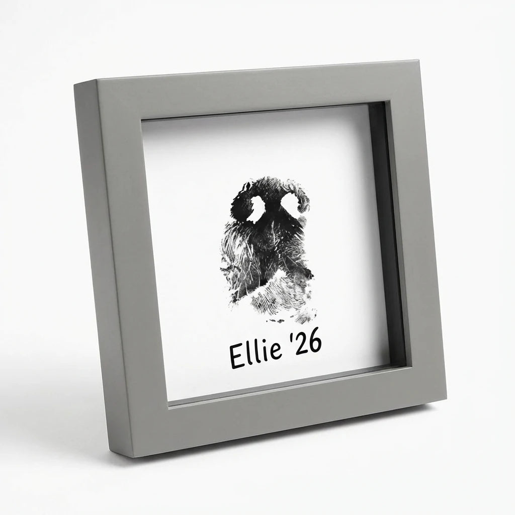 Modern grey pet memorial shadow box frame featuring a detailed dog nose print impression (snout print). Shows personalized custom text example 'Ellie '26' below the ink print. Angled view of deep frame suitable for shelf or tabletop display. A unique, minimalist sympathy gift for pet loss remembrance Main image