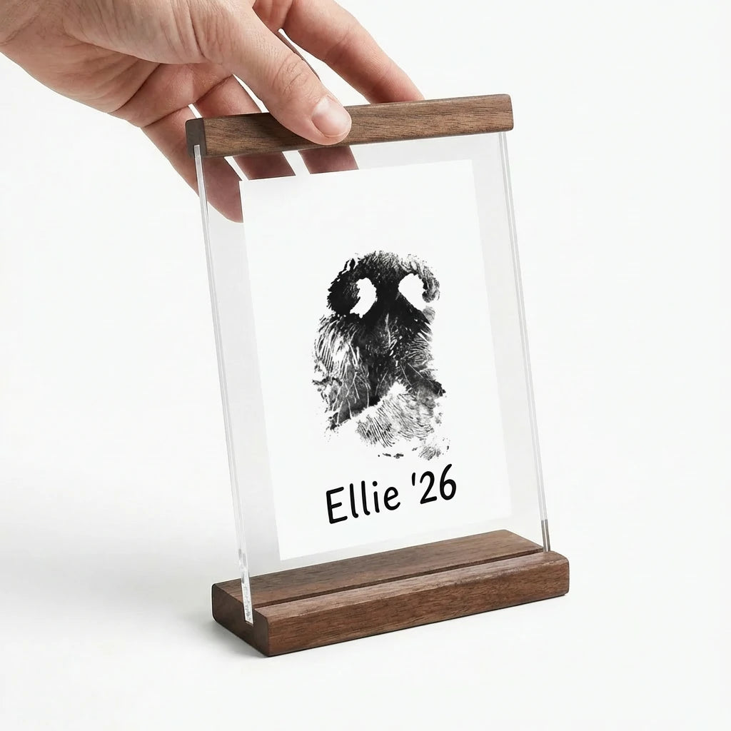 A hand gently placing the top walnut wood cap onto the clear acrylic sheets, demonstrating the easy slide-in assembly of the pet memorial frame. This image provides a clear sense of scale and shows how easily the custom dog nose print can be secured within the minimalist wood stand.