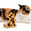 Cat-shaped oak LED pet fur keepsake frame beside a cat