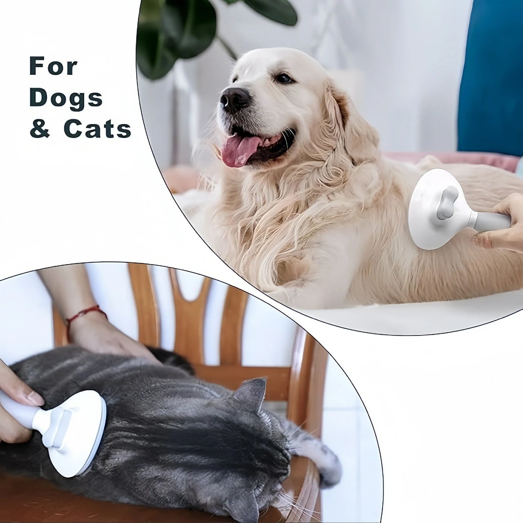 Larleaf self-cleaning brush usage demonstration for dogs and cats. Top section shows grooming a golden retriever, and bottom section shows a grey cat being brushed, indicating versatility for different pets.