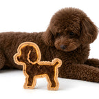 Small dog-shaped oak LED pet fur keepsake frame beside a dog