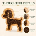 Oak frame, clear front panel, warm LED ring, and curly fur display details