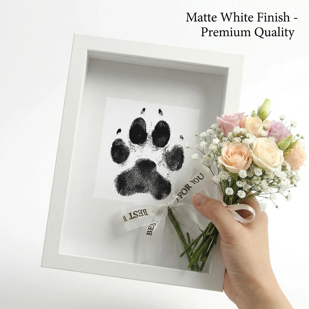 Matte white finish pet memorial shadow box frame displayed with a hand holding pastel roses for size scale. Features a clear black ink paw print and premium wood texture. A touching dog or cat remembrance gift to honor a beloved pet in home decor.
