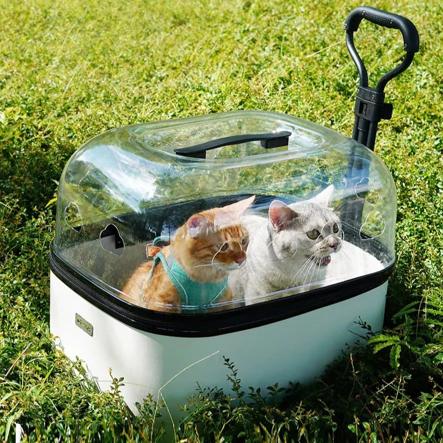 Cat Carrier with Wheels
