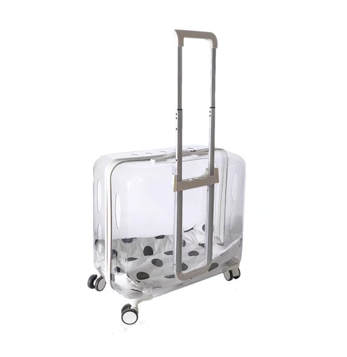 Cat Suitcase Carrier Square