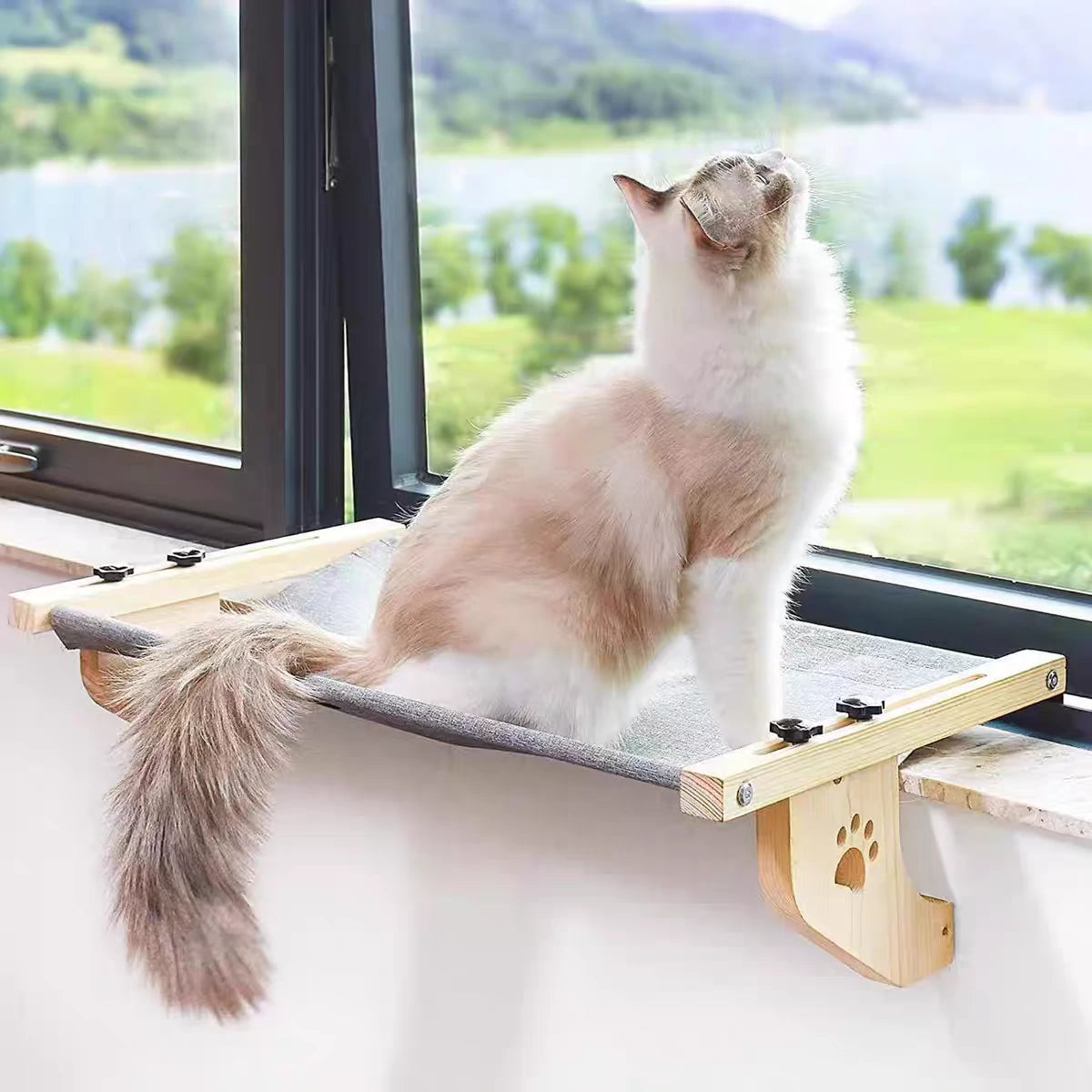 Cat Hammock
