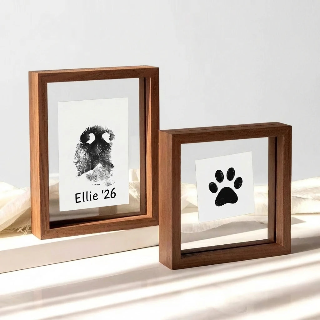 Lifestyle display of matching walnut wood floating frame set. Shows rectangular frame with custom dog nose print (snout print) 'Ellie '26' beside a square frame with classic paw print. Modern double glass design creates a see-through, minimalist pet tribute